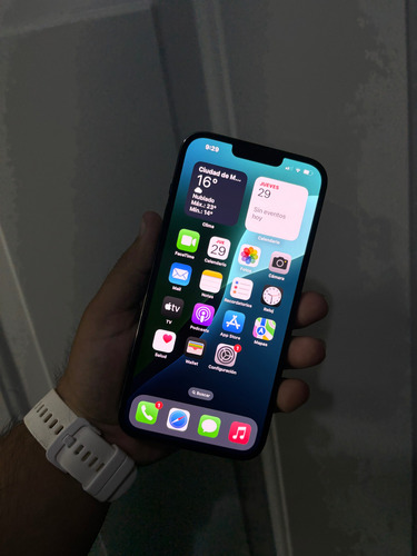 Apple iPhone 13 Pro Max (256 Gb) - Grafito (Usado)