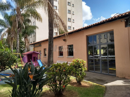 Imagem 30 de 30 de Apartamento Para Aluguel Em Vila Nova Teixeira - Ap002501