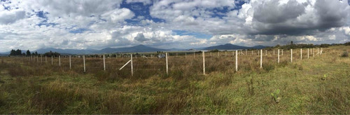 Imagen 4 de 5 de Venta De Terreno Escriturado En Patzcuaro,michoacan. Uruapan