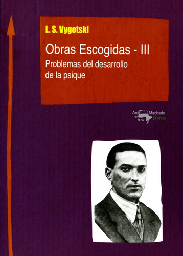 Libro Problemas Del Desarrollo De La Psique - Vygotski, L.s.