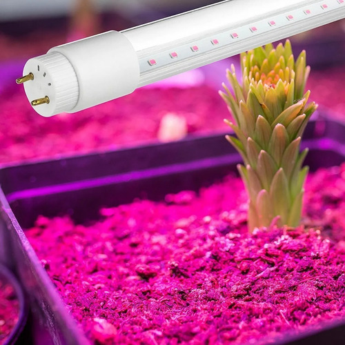 Tubo Led 18w T8cv Crecimiento Plantas Y Cultivo Interelec