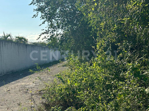 Terreno De Inversión A Metros De La Nueva Central De Abasto En Playa Del Carmen