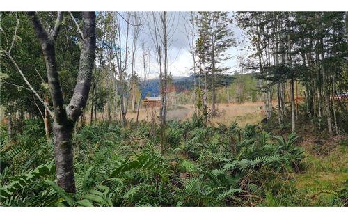 Parcela Con Bosque Nativo En Puerto Varas