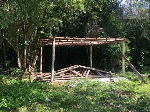 Imagem 8 de 15 de Chácara Para Venda Em Parobé - Cwvcr041_2-1122322