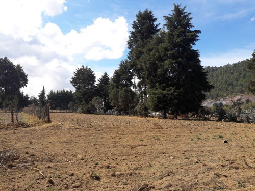 Imagen 2 de 8 de Terreno Totalmente Plano.