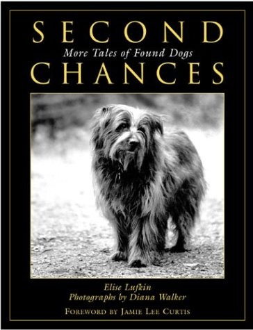 Second Chances More Tales Of Found Dogs