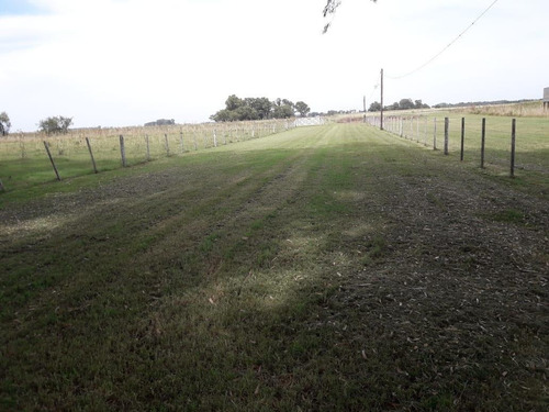 Imagen 1 de 18 de Venta Chacra 40 Hs Con Criadero De Cerdos En Las Flores.