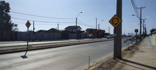 Imagen 4 de 8 de Sitio En Venta En La Serena