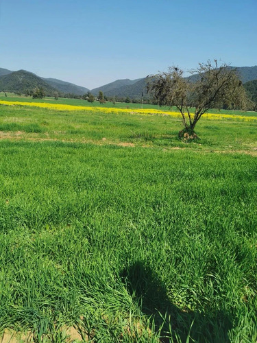 Hermosa Parcela En Teno Rebajada