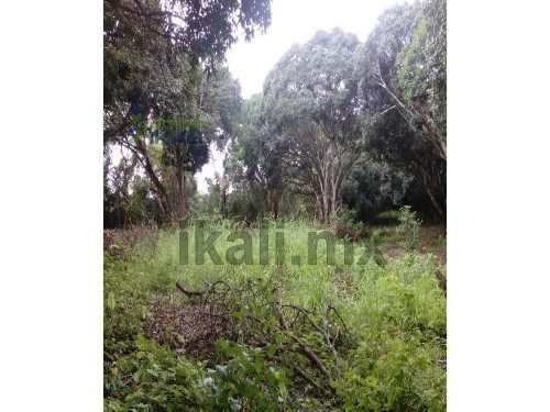 Imagen 6 de 11 de Terreno En Venta Carr. Costera Del Golfo Km. 149.5 Catemaco Veracruz 5000 M². Puede Fraccionarse Dependiendo De Las Necesidades Del Interesado,el Precio Por Metro Cuadrado Es De $500.00 Pesos. Está U