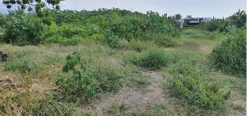Imagen 1 de 4 de Amplio Terreno En Venta En Fracc. Lomas De Cocoyoc Con Conexion A Servicios Y Escrituras