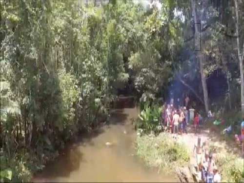 Imagem 7 de 12 de Cod 6025 - Bela Área Medindo 40 Mil Metros - 6025