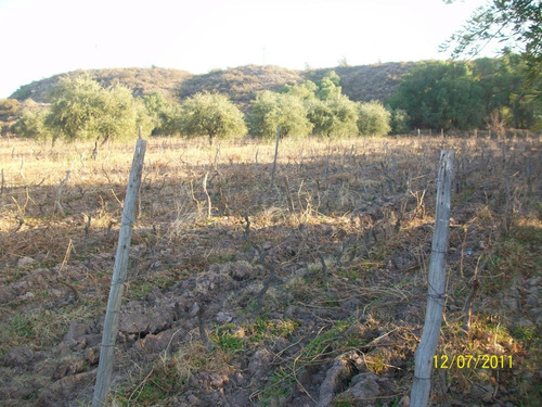 Imagen 7 de 14 de Lunlunta, La Falda 2,8 Has