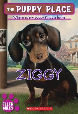 Libro Ziggy - Ellen Miles