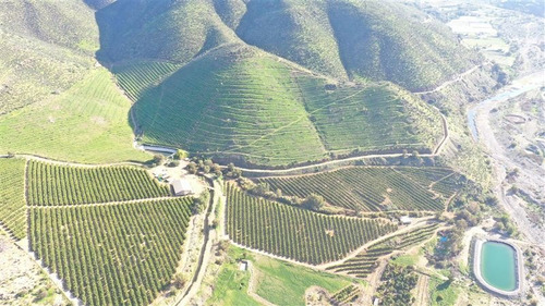 Imagen 13 de 15 de Agrícola En Venta En Monte Patria