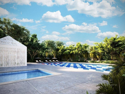 Imagen 6 de 7 de Terreno En Venta En Cd Mayacoba
