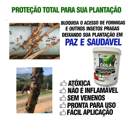 Cola Entomológica 1kg Armadilha Insetos - Kit Com 4 Unidades