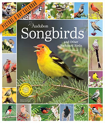Book : Audubon Songbirds And Other Backyard Birds...