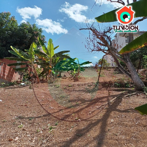 Imagen 4 de 6 de Terreno + Casa En Casco Central De Charallave (bulevar)