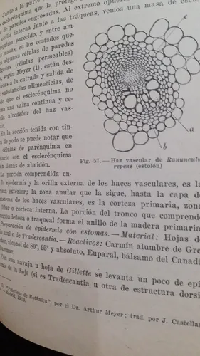 S. Maluquer Y Nicolau .el Microscopio. Elementos De Técnica (Usado)