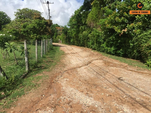 Imagem 8 de 17 de Sítio Em Abrantes - Camaçari - Ch00002 - 34599570