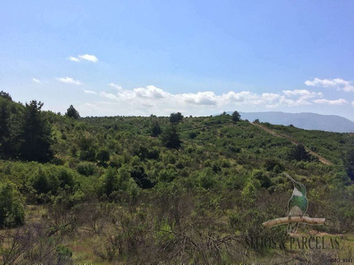 F-190 Valle Alegre, Quintero, 20.000m2