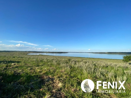 Imagen 5 de 7 de Tf427 Hectareas Con Vista Al Río Z/garupa