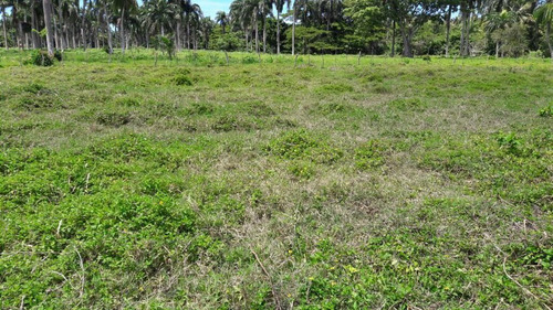 Venta De Terreno, Gaspar Hernandez - Espaillat