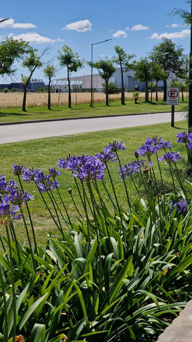 Parque Industrial Y Logistico Paraná De Las Palmas Zárate (pliz) Sector Pyme Zarate Predio 200 H. Lotes 5.000 / 10.000 Y 20.000 Metros Cuadrados Todos Los Servicios Cerca De Puerto Zarate