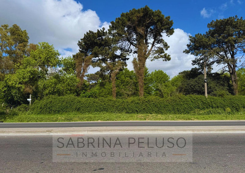 Las Tres Marias Finca Forestal - Moreno