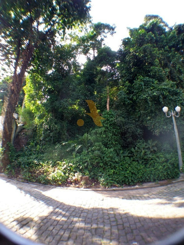 Imagem 4 de 7 de Rua José Condé - Portinho Do Massaru - Sqa0478j - 34207889