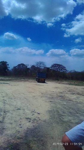 Imagen 5 de 8 de Finca En El Pao, El Baúl, Cojedes, De Oportunidad
