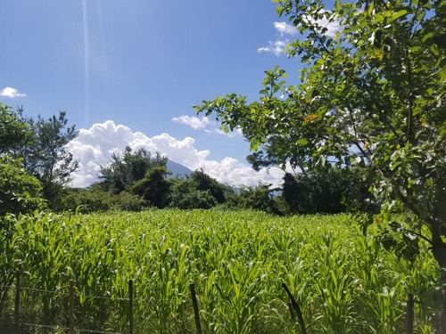 Imagen 6 de 11 de Se Vende 3 Lotes Colonia Carrillo