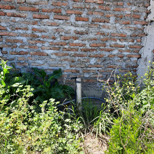 Rinconada De Maipu/autopista Del Sol 6 Hectareas