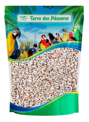 Kit 4 Unidades - Sementes Cártamo Para Pássaros - 200 Gramas