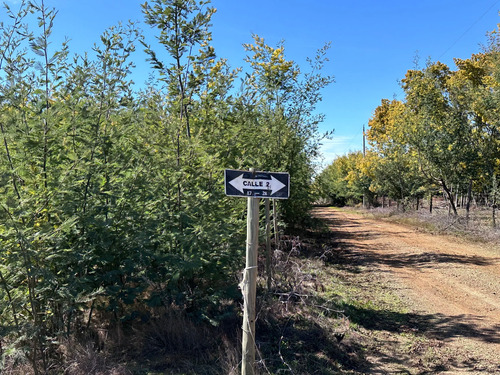 Oportunidad Parcela 5.000 Mts (93879)