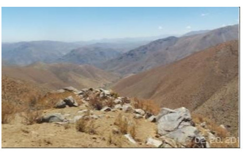 Agrícola En Venta En Monte Patria