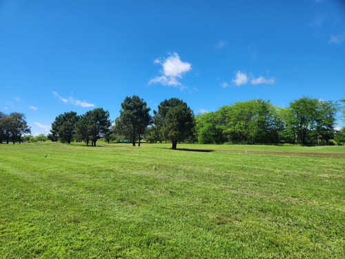 Lote Interno Con Fondo A Hermosa Arboleda En Everlinks -  Lujan