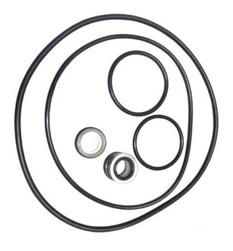 Sencoday O-ring Pump Rebuild Kit Sp4000