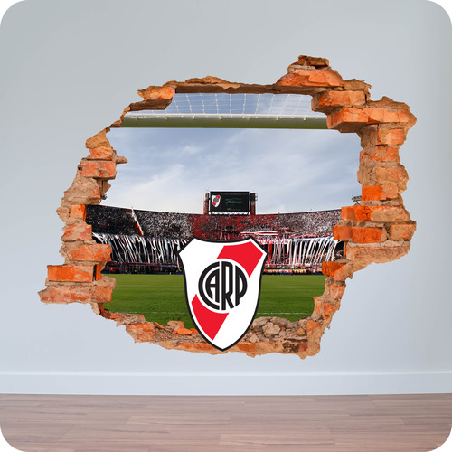 Vinilo Pared Rota 3d River Plate 100x100