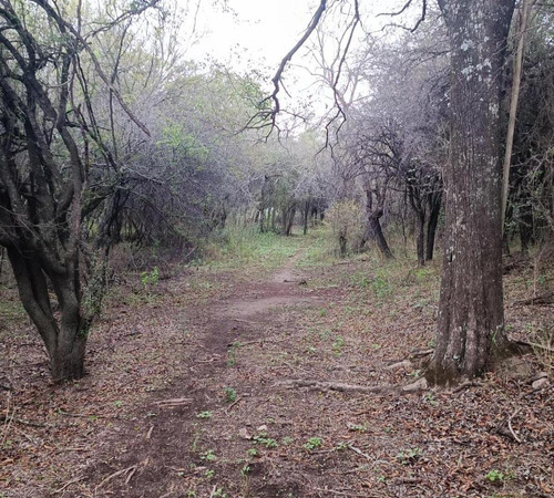 Terreno En Villa Silvina - Salsipuedes.