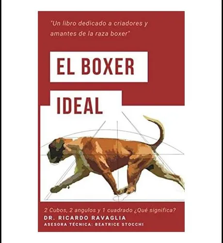 comprar Libro: El Boxer Ideal: Dos Cubos, Dos Ángulos Y Un Cuadrado