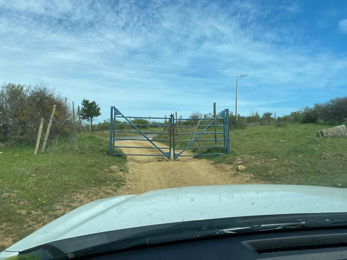 Exclusiva Parcela Con Bajada Al Lago Rapel