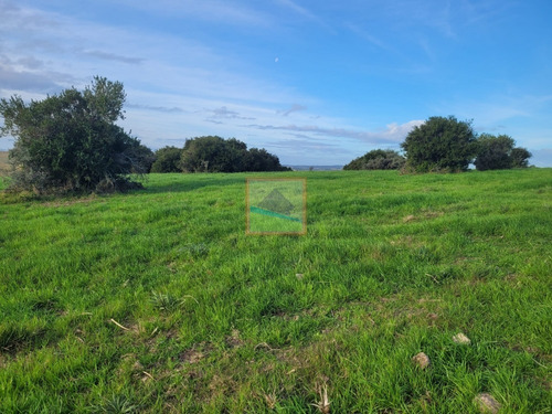 Imagen 17 de 26 de 70 Hectáreas De Campo Ganadero Corte De La Leña