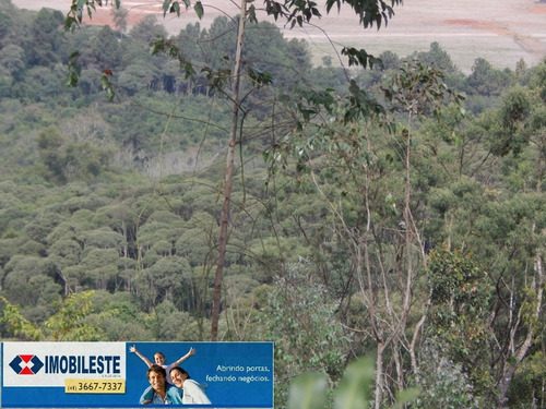 Imagem 9 de 12 de Área Para Venda - 10330.1860