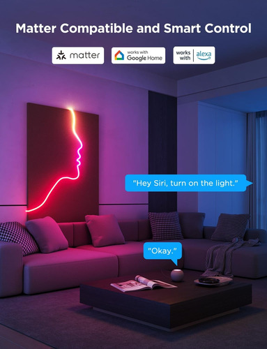 Tira Led Neón Smart Govee Neon Rope Light 2 Rgbic 3 Metros