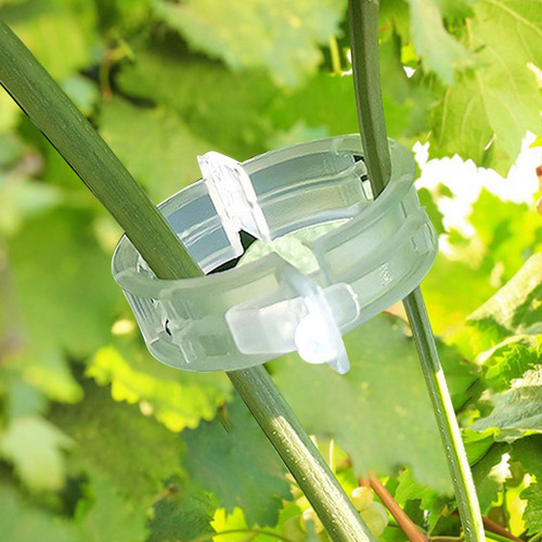 2 Paquete De 2-4 Clips De Soporte Para Plantas 2 Piezas