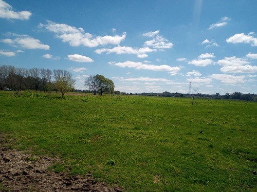 Imagen 3 de 30 de Campo En Venta Zona Polo, Pilar, Con 2 Canchas De Polo Y Varias Mejoras