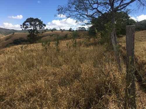 Imagem 22 de 24 de Chácara À Venda, 2800 M² Por R$ 80.000 - Zona Rural - Caldas/mg - Ch0126