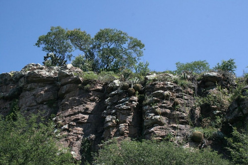 Imagen 28 de 30 de Terreno Campestre En Venta En Palo Colorado - San Miguel De